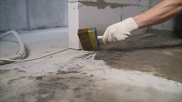 24/7 Emergency Waterproofing experts in Denmark, SC